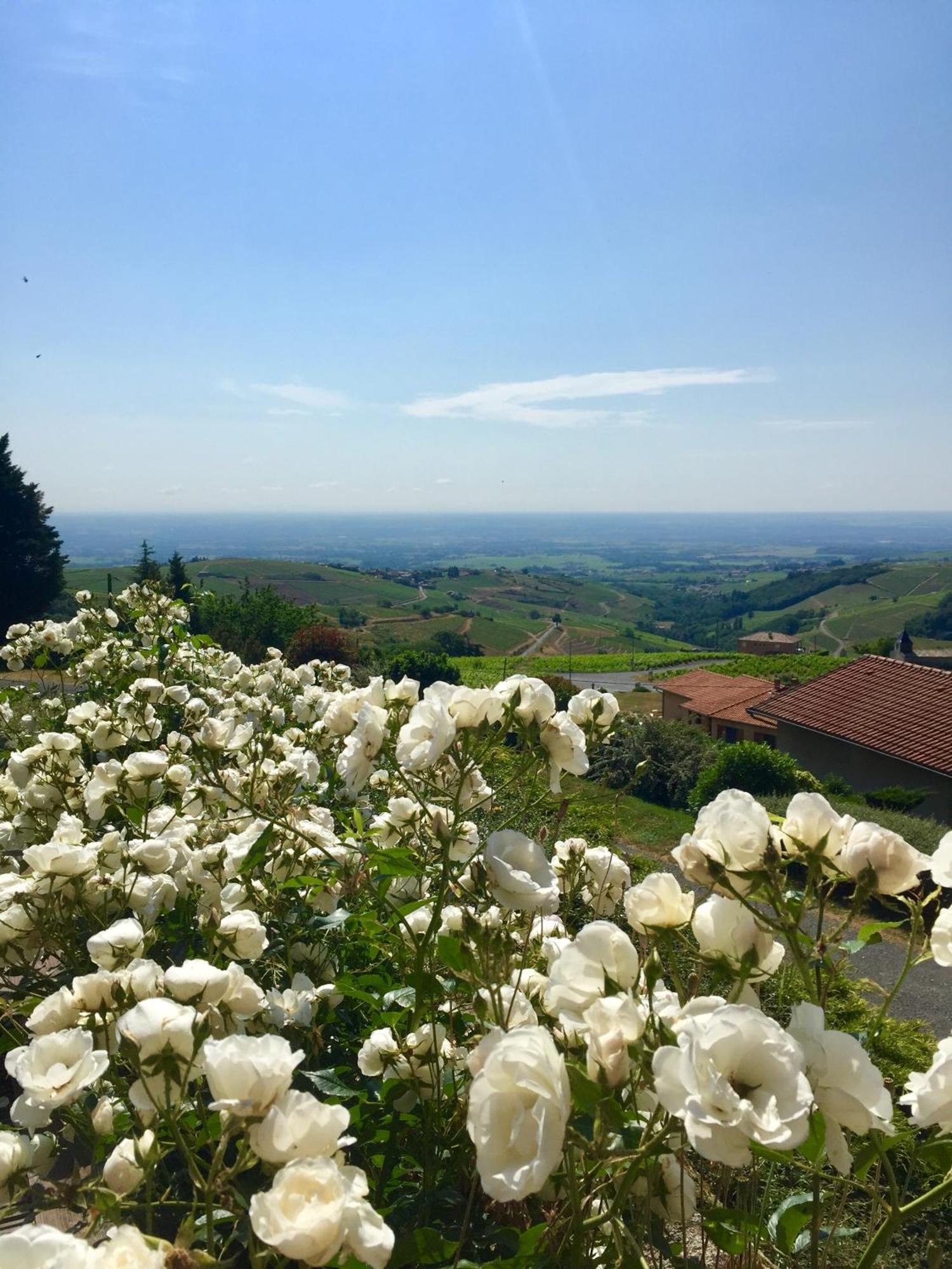 Le Balcon Du Fetre Bed & Breakfast Chiroubles ภายนอก รูปภาพ