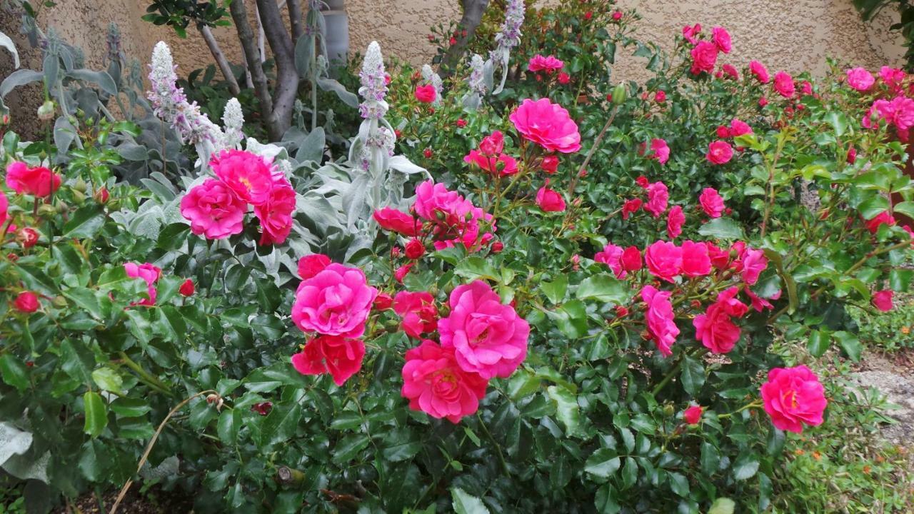 Le Balcon Du Fetre Bed & Breakfast Chiroubles ภายนอก รูปภาพ